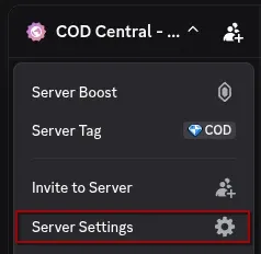 Discord server dropdown menu with Server Settings option highlighted
