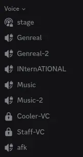 Discord server sidebar showing 9 static voice channels with inconsistent naming like Genreal, Genreal-2, INternATIONAL, Music-2, all empty